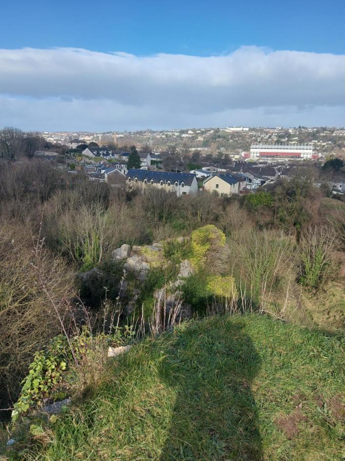 Blackrock Carole Ville Guesthouse Cork Exteriér fotografie